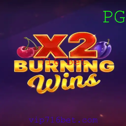 Descubra o Mundo Empolgante de BurningWinsX2